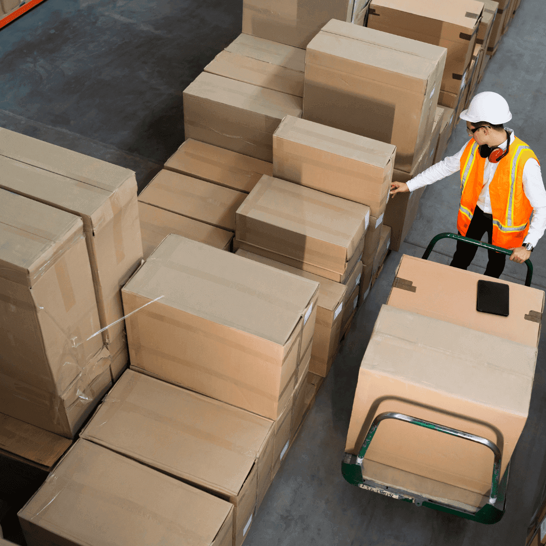 Trade and Distribution Activities